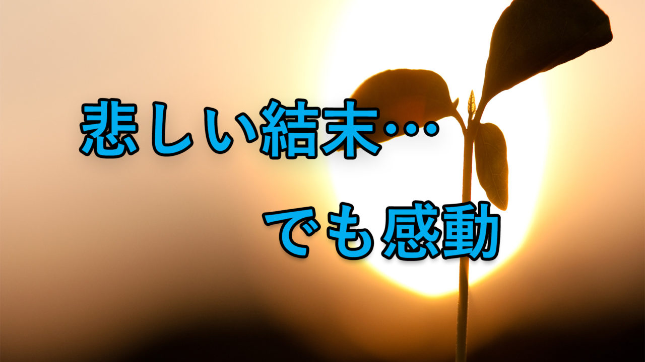 完結 夏の前日 悲しい結末 でも感動するオススメの作品を紹介 あらすじと感想 カッパの休憩室