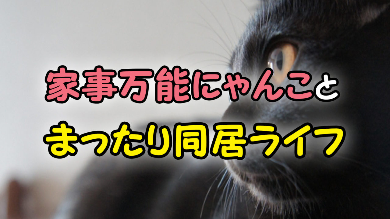 デキる猫は今日も憂鬱 家事をこなす大きな猫と幸せたっぷりな同居ライフ あらすじと感想 カッパの休憩室