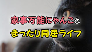 2019年版】可愛い猫に癒される!オススメの猫漫画10選【まとめ