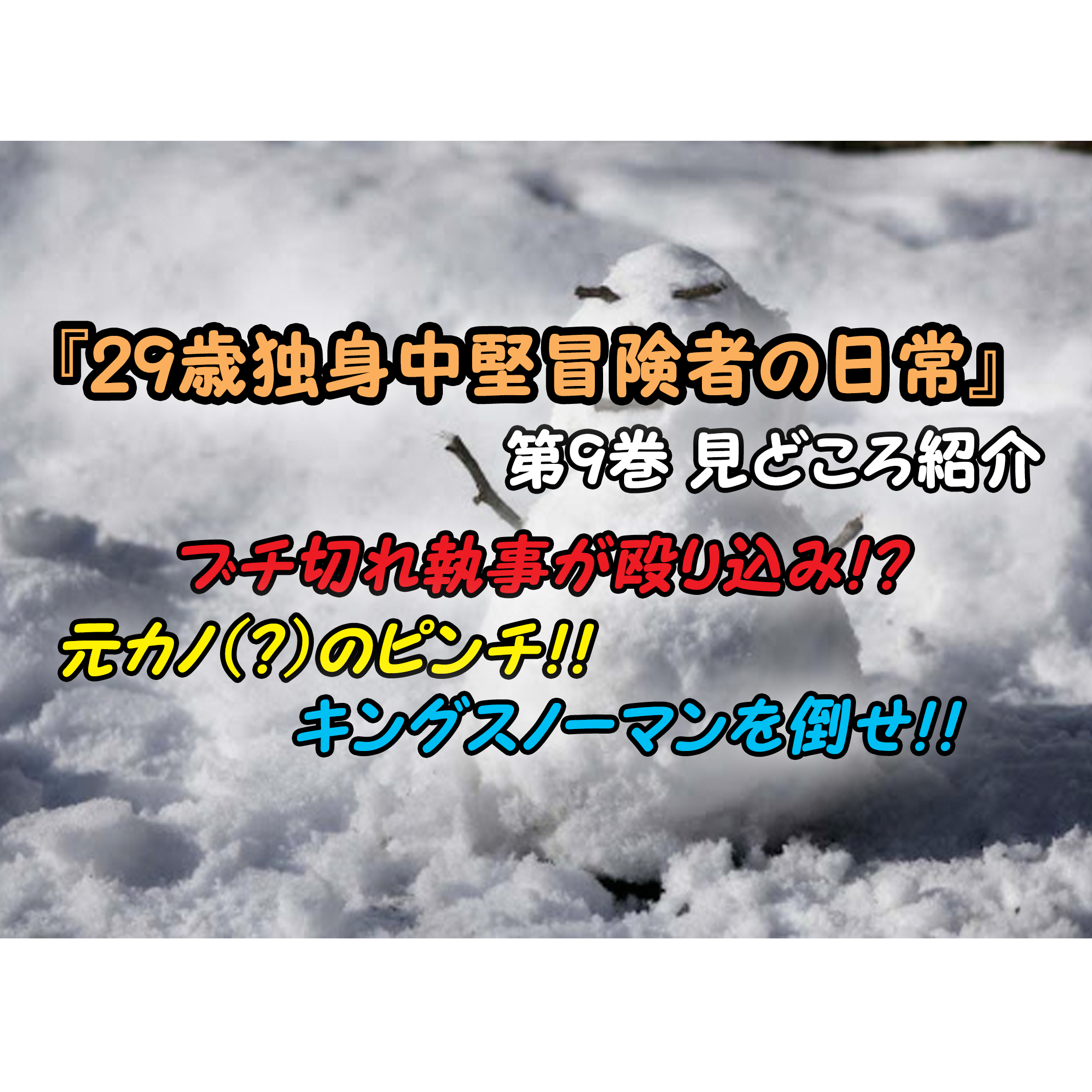 29歳独身中堅冒険者の日常 第9巻 ネタバレ注意 元カノのピンチ いざ豪雪地帯へ カッパの休憩室