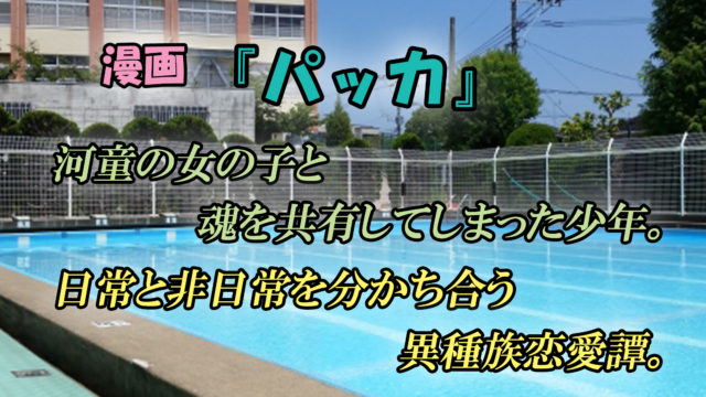 パッカ 第1巻 あらすじと感想 河童女子に助けられ 少年も河童に 異種族青春恋愛譚 カッパの休憩室