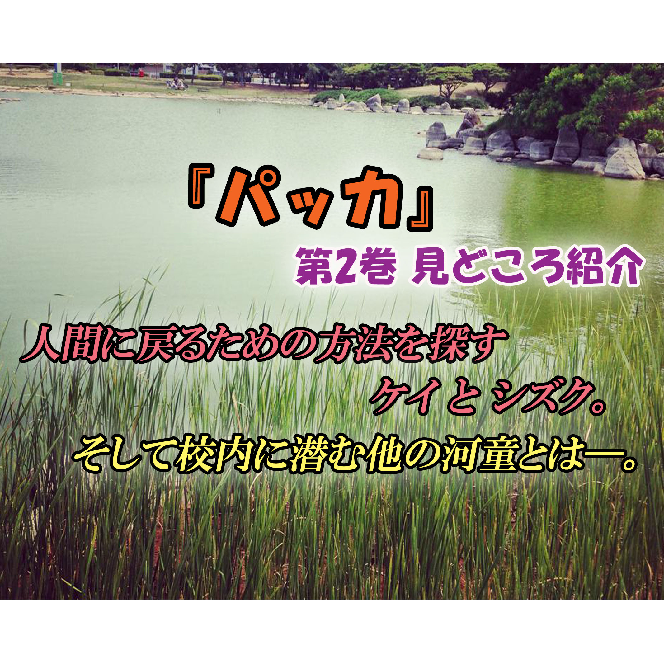 パッカ 第2巻 ネタバレ注意 人間の体に戻るため 校内に潜む河童を捜す カッパの休憩室