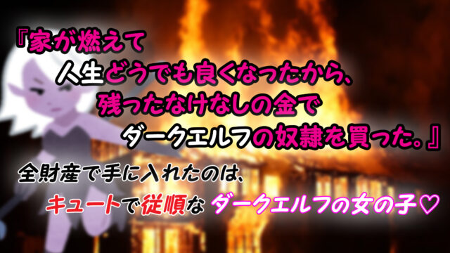 漫画 家が燃えて人生どうでも良くなったから 残ったなけなしの金でダークエルフの奴隷を買った あらすじと感想 カッパの休憩室
