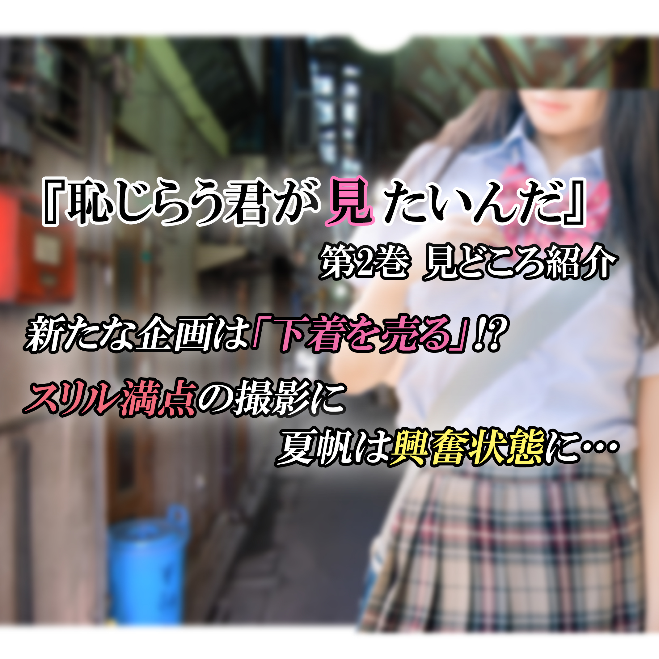 恥じらう君が見たいんだ 第2巻 見どころ紹介 スリル満点の企画に夏帆は興奮状態に カッパの休憩室